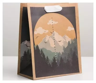 Пакет крафтовый вертикальный «Горы», MS 18 × 23 × 8 см