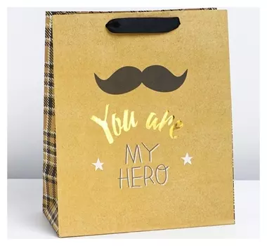 Пакет крафтовый вертикальный You Are My Hero, ML 23 × 27 × 11.5 см