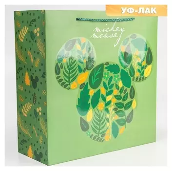 Пакет ламинат, микки маус, 30 х 30 х 12