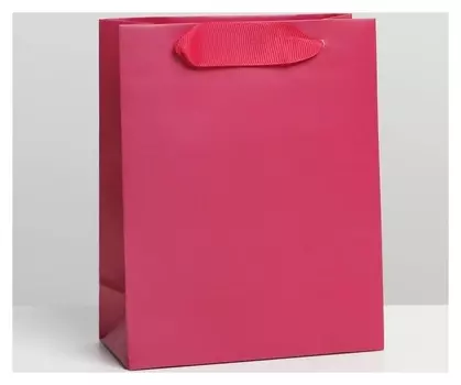 Пакет ламинированный «Фуксия», S 12 × 15 × 5,5 см