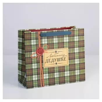 Пакет ламинированный горизонтальный «Любимому дедушке», ML 27 × 23 × 11,5 см