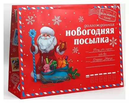 Пакет ламинированный горизонтальный «НГ посылка», XXL 46 х 61 х 20 см