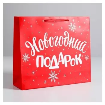 Пакет ламинированный горизонтальный «Новогодний подарок», M 30 × 26 × 9 см