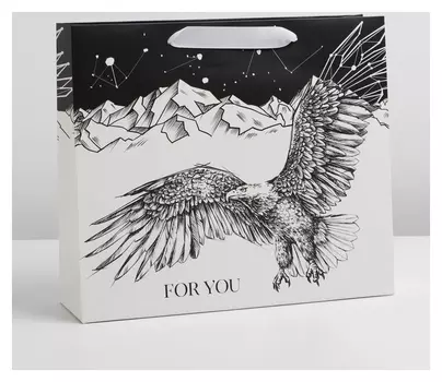 Пакет ламинированный горизонтальный «Орел», M 30 × 26 × 9 см