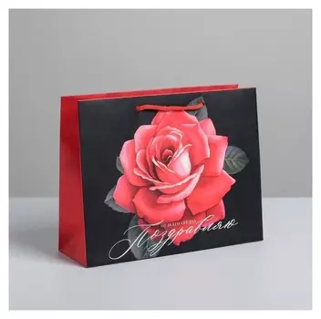 Пакет ламинированный горизонтальный «Поздравляю», MS 23 × 18 × 8 см