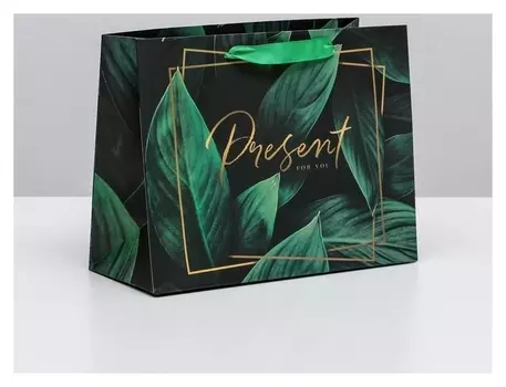 Пакет ламинированный горизонтальный Present For You, MS 23 × 18 × 10 см