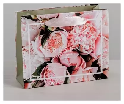 Пакет ламинированный горизонтальный Present, S 15 × 12 × 5,5 см