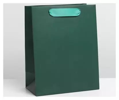Пакет ламинированный «Изумрудный», MS 18 × 23 × 10 см