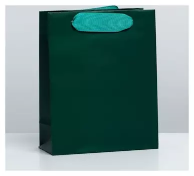 Пакет ламинированный «Изумрудный», S 12 × 15 × 5,5 см