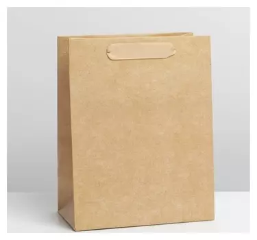 Пакет ламинированный «Крафтовый», ML 23 × 27 × 11.5 см