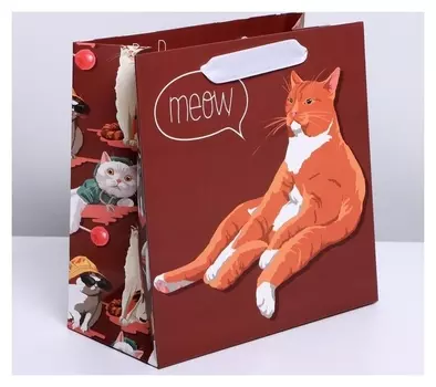 Пакет ламинированный квадратный «Котейка», 22 × 22 × 11 см