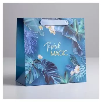 Пакет ламинированный квадратный Magic, 22 × 22 × 11 см