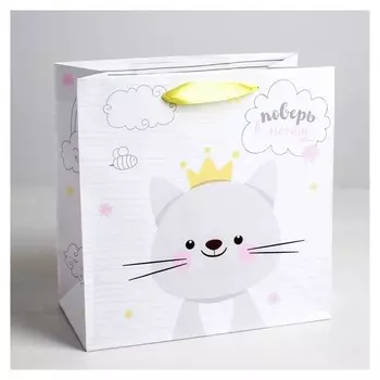 Пакет ламинированный квадратный «Поверь в мечту», 22 × 22 × 11 см