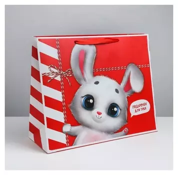 Пакет ламинированный «Посылка», XL 49 × 40 × 19 см