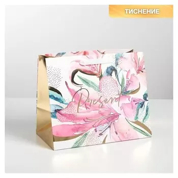 Пакет ламинированный Present, 30,5 × 25,5 × 18 см