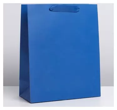Пакет ламинированный «Синий», ML 23 × 27 × 11.5 см