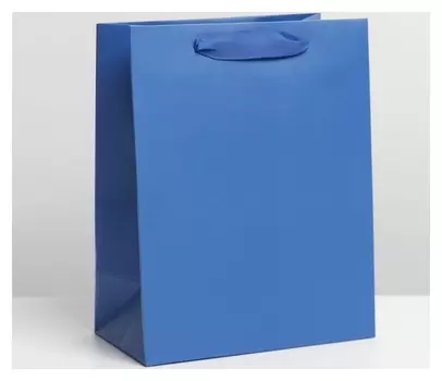 Пакет ламинированный «Синий», MS 18 × 23 × 10 см