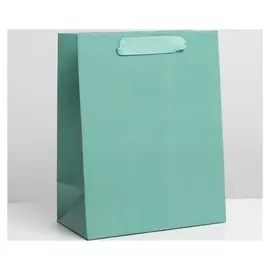 Пакет ламинированный «Тиффани», MS 18 × 23 × 10 см