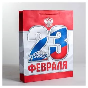Пакет ламинированный вертикальный «23 февраля!», S 12 × 15 × 5,5 см
