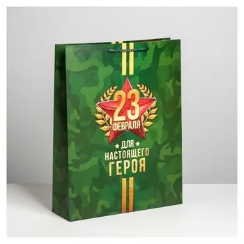 Пакет ламинированный вертикальный «Для настоящего героя», L 40 × 31 × 9 см