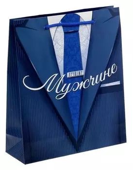 Пакет ламинированный вертикальный «Лучшему мужчине», ML 23 × 27 × 8 см