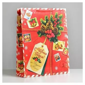 Пакет ламинированный вертикальный «Подарок от деда мороза», 31 × 40 × 9 см