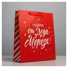 Пакет ламинированный вертикальный «Подарок от деда мороза», M 26 × 30 × 9 см