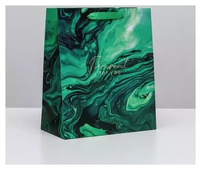 Пакет ламинированный вертикальный Present For You, ML 23 × 27 × 11,5 см