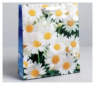 Пакет ламинированный вертикальный «Ромашки полевые», ML 23 × 27 × 8 см