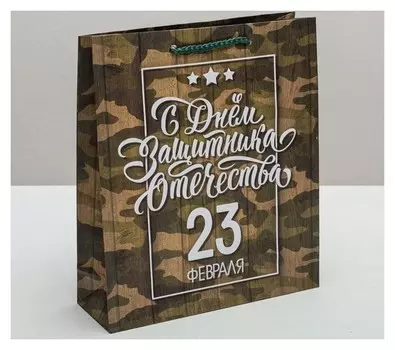 Пакет ламинированный вертикальный «С днём защитника отечества, 23 февраля», ML 23 × 27 × 8 см