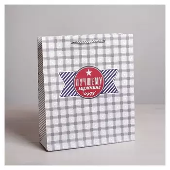 Пакет ламинированный вертикальный «Стильному мужчине», ML 23 × 27 × 8 см