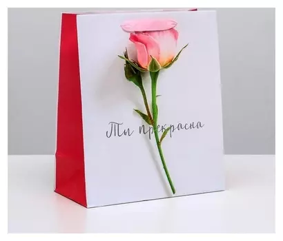 Пакет ламинированный вертикальный «Ты прекрасна», ML 23 × 27 × 11,5 см