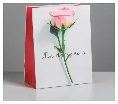 Пакет ламинированный вертикальный «Ты прекрасна», MS 18 × 23 × 10 см