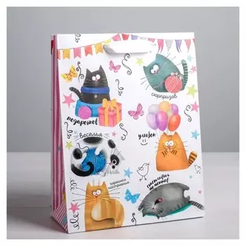 Пакет ламинированный вертикальный «Забавные коты», S 12 × 15 × 5,5 см