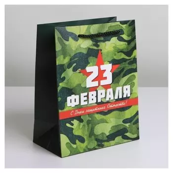 Пакет ламинированный вертикальный «Звезда», MS 18 × 23 × 10 см