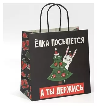 Пакет подарочный «А ты держись», 22 × 22 × 11 см