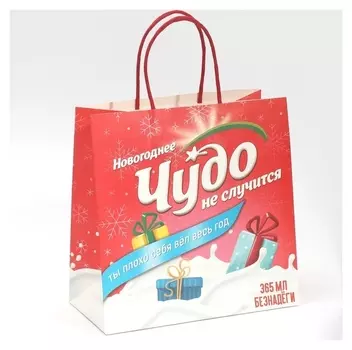 Пакет подарочный «Чудо не случится», 22 × 22 × 11 см