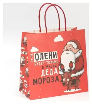 Пакет подарочный «Дед мороз», 22 × 22 × 11 см