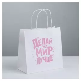 Пакет подарочный «Делай этот мир лучше», 22 × 22 × 11 см