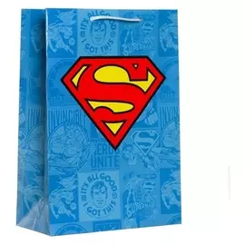 Пакет подарочный каноничный Superman, 220х310х100 мм