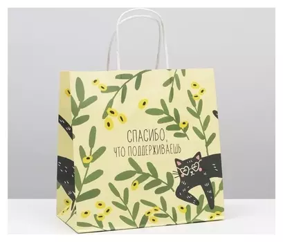 Пакет подарочный «Котейка», 22 х 22 х 11 см