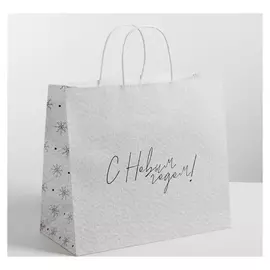 Пакет подарочный крафт «Чудесный праздник», 25 х 22 х 12 см