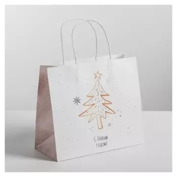 Пакет подарочный крафт «Волшебство», 25 х 22 х 12 см