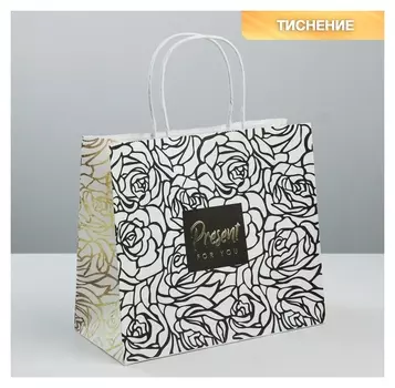 Пакет подарочный крафтовый Present For You, 25 × 22 × 12 см