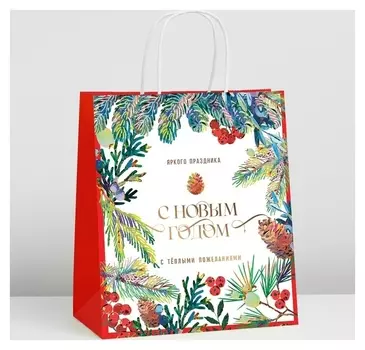 Пакет подарочный крафтовый «Яркий праздник», 22 х 25 х 12 см