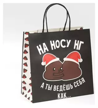 Пакет подарочный «На носу нг», 22 × 22 × 11 см