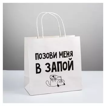 Пакет подарочный «Позови меня», 22 × 22 × 11 см