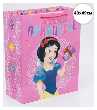 Пакет подарочный "Прекрасной принцессе!", принцессы, 40х49х19 см