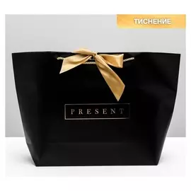 Пакет подарочный Present, 46 х 31 х 13 см