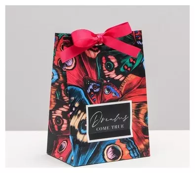 Пакет подарочный с лентой Dreams Come True, 13 × 19 × 9 см